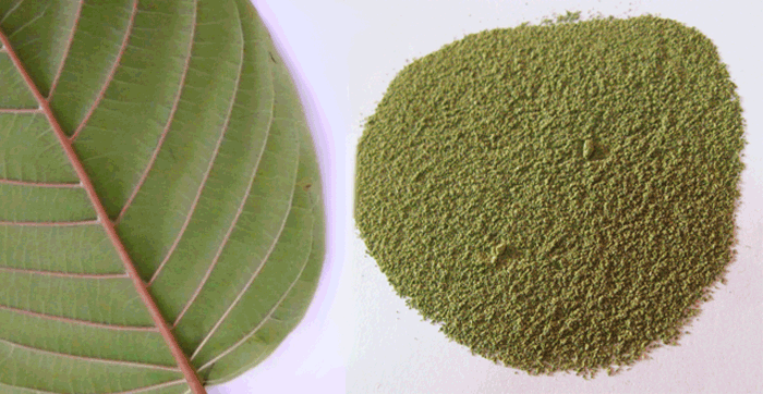 sumatra-red-vein-leaf-powder-kratom.gif