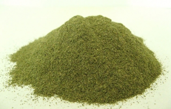 Green-Malay-powder.jpg